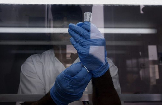 Ürdün'de domuz gribinden ölenlerin sayısı 5'e yükseldi