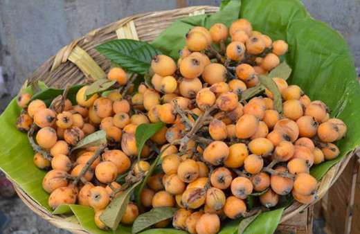 Muşmulanın faydaları neler öksürüğü geçiriyor