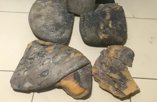 Mersin’de balina kusmuğu operasyonu 2 gözaltı