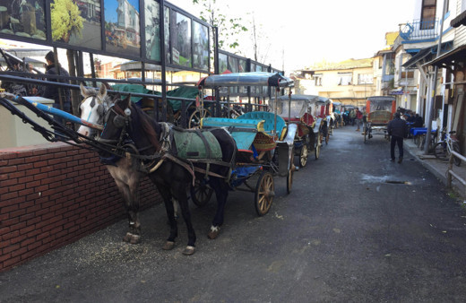 Ruam hastalığı nedir insanlara nasıl bulaşıyor? Belirtileri gribe benziyor