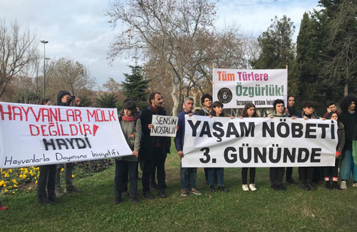 İBB önündeki fayton protestosu devam ediyor
