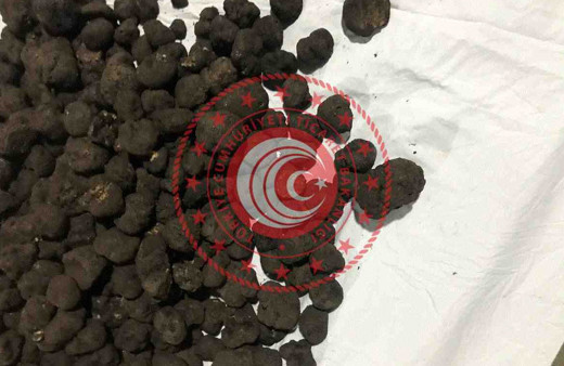 Ticaret Bakanlığından trüf mantarı ihalesi