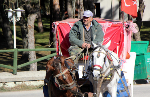 Adalar'daki faytonlar kaldırılıyor İBB'de son dakika kararı