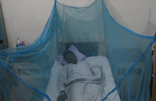 Bangladeş'teki dang humması salgınında vaka sayısı 101 bini aştı