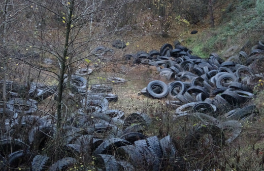 Şile'de orman katliamı! Yüzlerce otomobil lastiği bırakıldı
