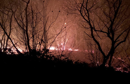 Karadeniz'de 26 noktada yangın! 5 ev yandı