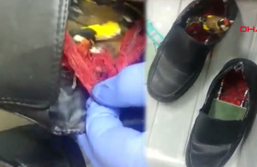 Ayakkabısına kuş saklayarak gümrükten geçirmek istedi