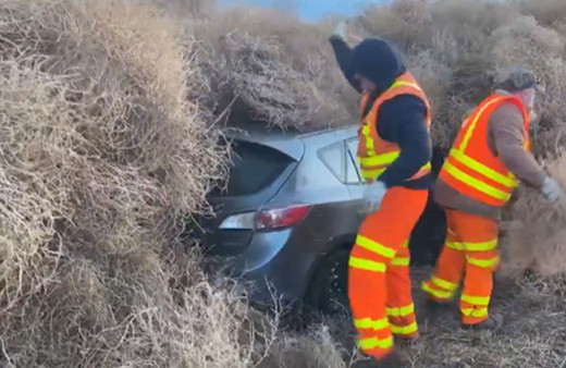 ABD'de bir eyalet yolunda çalı istilası! Araçlar mahsur kaldı