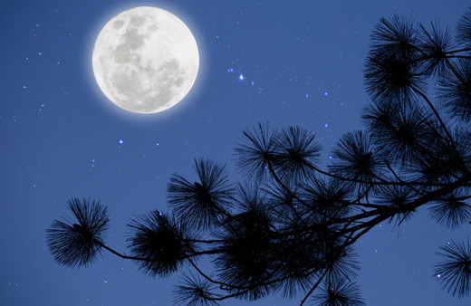 10 Ocak 2020 ay tutulması burçları bakın nasıl etkileyecek!