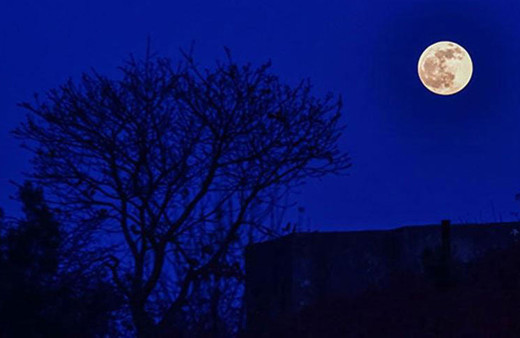 İstanbul'da yılın en önemli gök olayı yaşandı