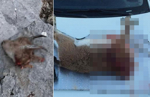 Isparta'da kaçak avlanan 8 kişiye 40 bin 644 lira ceza verildi