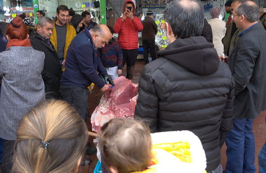 Sardalya avlarken 450 kiloluk orkinos yakaladılar