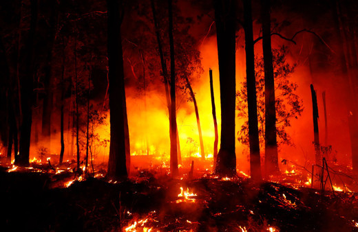 Orman yangınlarına karşı yeni birim kuruldu