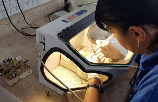 Denizli'de Roma İmparatoru Nero'nun heykeline ait mermer baş bulundu