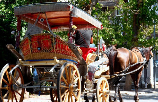 Adalar'daki faytonları 300 bin TL'ye İBB alacak