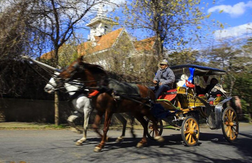 Adalar'daki faytonlar yaklaşık 70 milyon liraya İBB'ye geçecek 