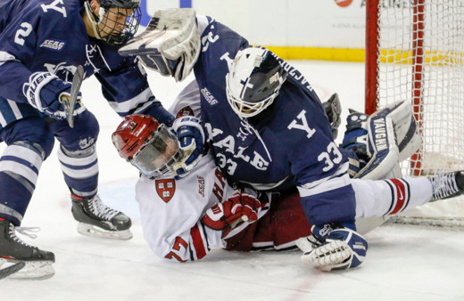 ABD'de buz hokeyi maçında kavga!