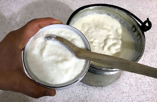 Yoğurt tüketiminin gripten koruduğu tespit edildi