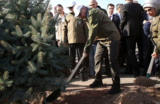 Geleceğe nefes fidanları kurudu mu işte gerçek