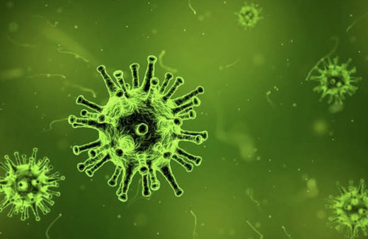 Lassa ateşi virüsü nedir nasıl bulaşır ilk belirtilerine dikkat!