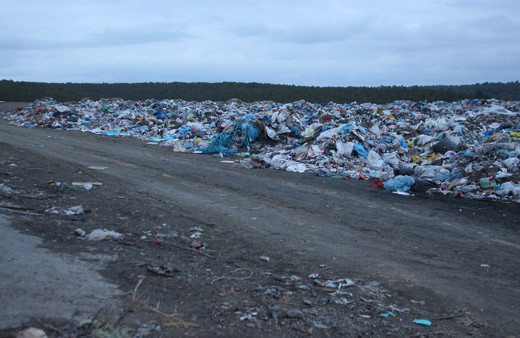 Uşak'ta çöplükte 21 köpek ölü bulundu