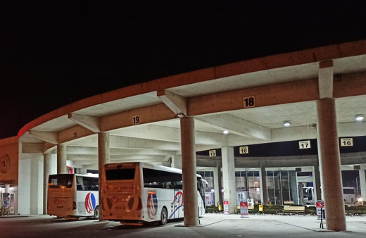 Yolcu otobüsünde  valizden kaçan piton yılanı korkuttu