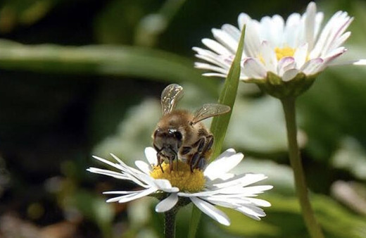 Cemre ne zaman düşer 2020 cemre düşmesi nedir?