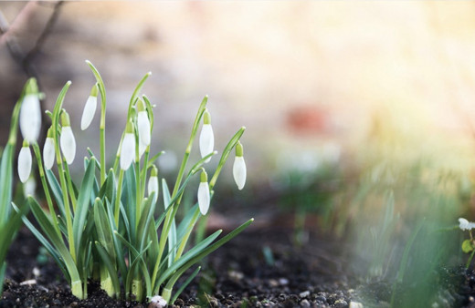 Cemre düştü mü cemre düşme sırası nasıldır tarihleri-2020