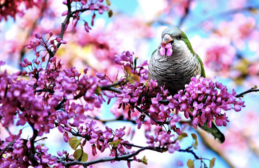 Cemre ne zaman düşer 2020 cemre nedir düşme sırası 2020