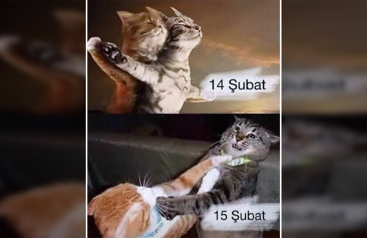 Birbirinden eğlenceli 14 Şubat paylaşımları