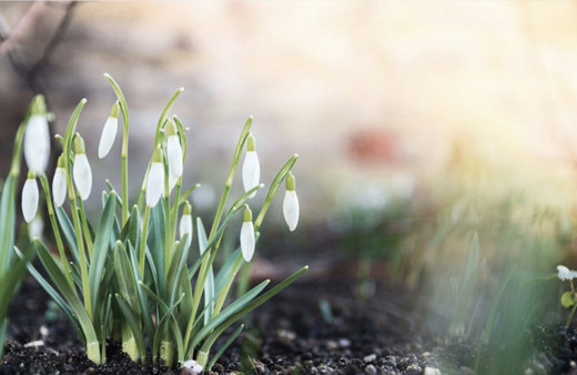 Cemreler ne zaman düşüyor 2020 ilk cemre düşme tarihi