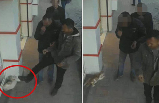 Kütahya'da kaldırımdaki kediye tekme saniye saniye kamerada