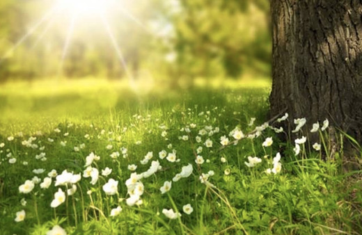 Cemre ne demek ilk cemre yarın havaya düşüyor