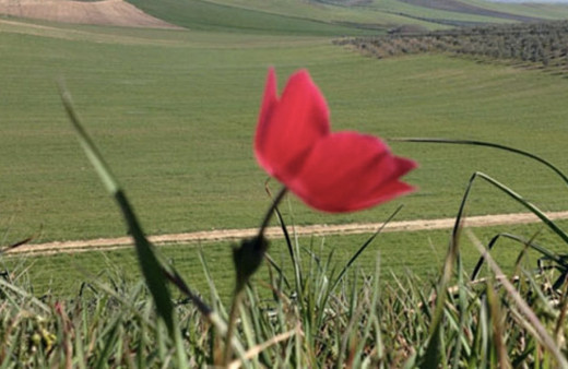 Cemre ne demek cemre düşmedi nedir ilk cemre nereye düşer?