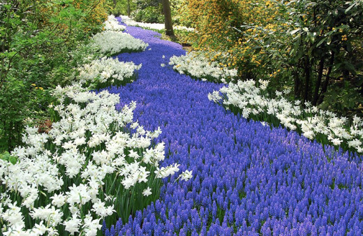 Cemre düştü mü cemre düşme sırası nasıldır tarihleri-2020