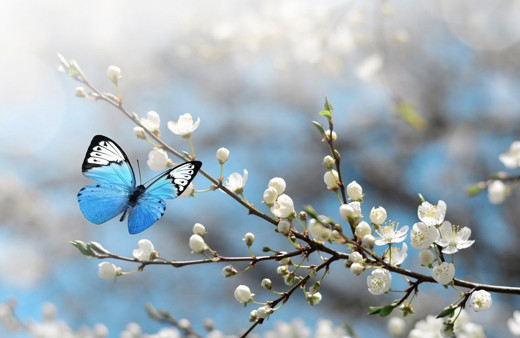 Cemre düşme sırası ikinci cemre nereye düşer tarihi