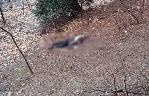 Adana'da kumalığı kabul etmeyen kadını vahşice öldürdü!