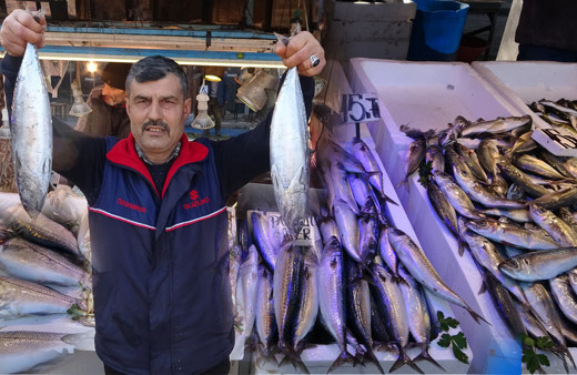 Karadenizde sular bereketli balık tezgahları dolmaya başladı