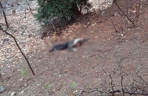Kumalığı kabul etmeyen kadını uçurumdan attı başını taşla ezerek öldürdü