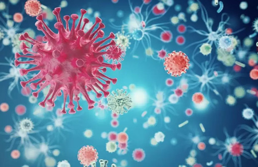 Bu besinler vücuttaki iltihapı yok ediyor!