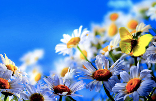 İkinci cemre düşmesi ne zaman 2. cemre nereye düşecek?