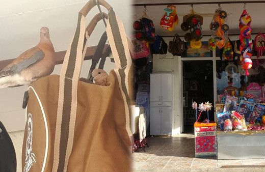 Kocaeli'de Kuşlar öyle bir yere yuva yaptı ki görenler hayrete düştü