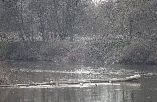 Sınıra doğru hareketlenen mülteciler Yunan sınırına dayandılar!
