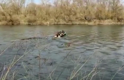 Sığınmacıların Meriç Nehri'nden Yunanistan'a geçişleri sürüyor