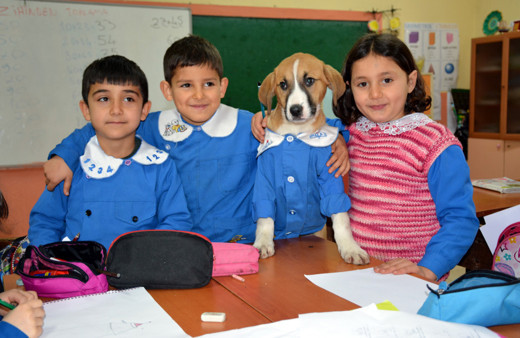 Önlüklü fotoğrafı ile hafızalara kazınan "Fındık" gömüldü