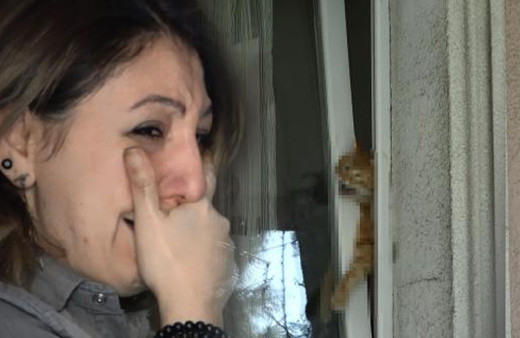Sultangazi'de evde bıraktığı kedisi pencere arasına sıkıştı