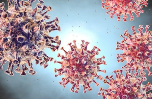 Corona virüs Türkiye hangi ilde görüldü erkek hasta hangi hastanede?