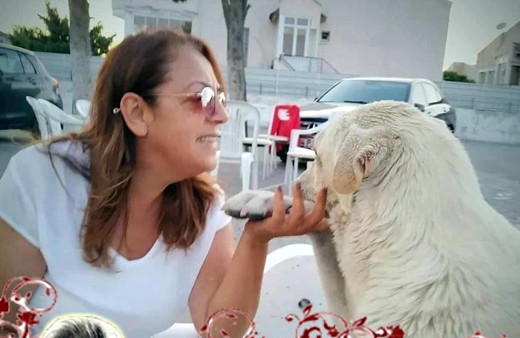 Cenazeye katılmaya giderken yolda kendi eceline yakalandı