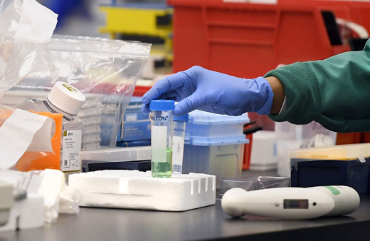 Tüm dünyada koronavirüse karşı aşı ve ilaç geliştirmedeki son çalışmalar umut verdi