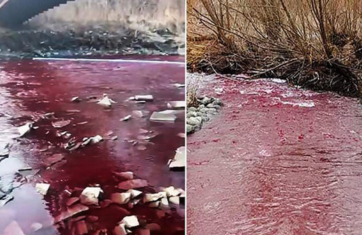 Kanada'da Mississauga kentindeki nehir kırmızıya büründü